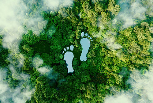 Environment